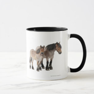 Bemuttern Sie und fohlen Sie lächelnd, belgisches Tasse
