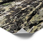 Ben Lomond Kea Poster (Ecke)