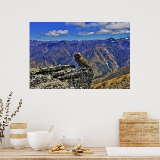 Ben Lomond Kea Poster (Küche)