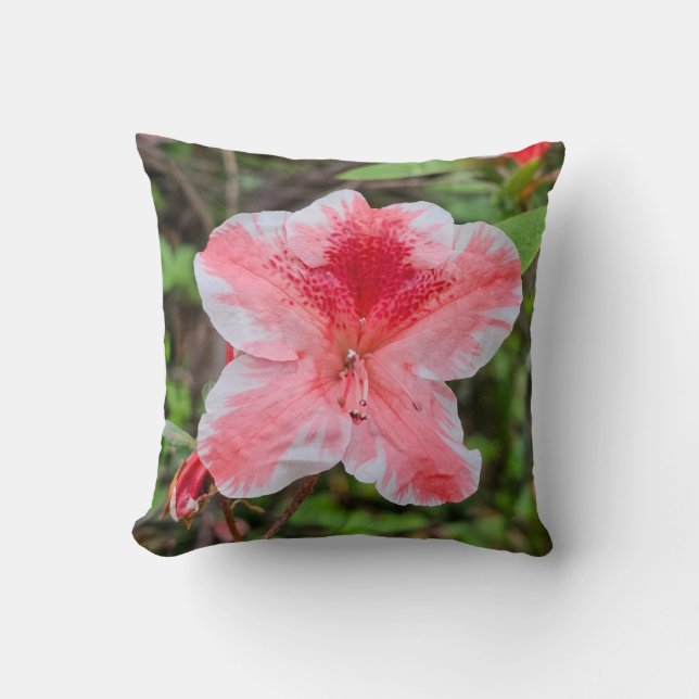 Ben Morrison Azalee (Rhododendron 'Ben Morrison') Kissen (Vorderseite)