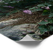 Ben Shemen Forest in Israel, Heiliges Land Poster (Ecke)