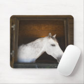 Benalamadena costa, malaga, costa del sol, 2 mousepad (Mit Mouse)