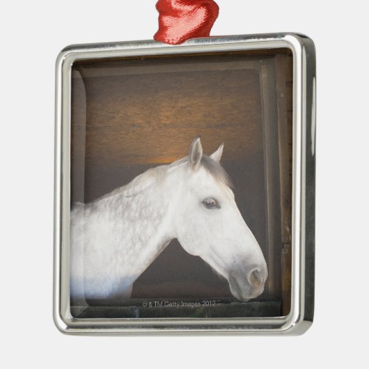 benalamadena Costa, Màlaga, Costa del Sol, 2 Silbernes Ornament (Links)