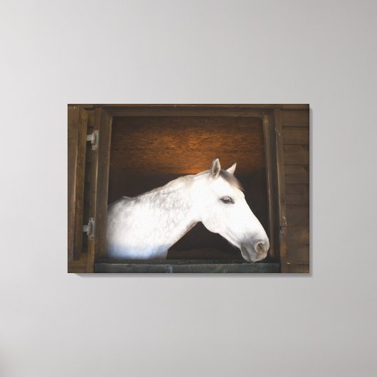 Benalamadena costa, malaga, costa del sol, 3 leinwanddruck (Vorderseite)