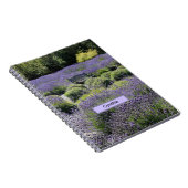 Bench in einem riesigen Lavendelfeld in Sequim Notizblock (Rechte Seite)