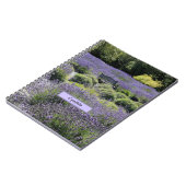 Bench in einem riesigen Lavendelfeld in Sequim Notizblock (Linke Seite)