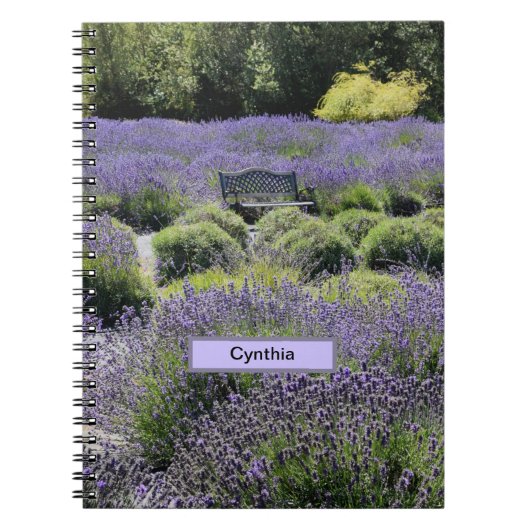 Bench in einem riesigen Lavendelfeld in Sequim Notizblock (Vorderseite)