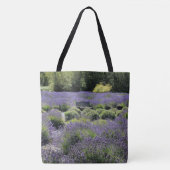 Bench in einem riesigen Lavendelfeld in Sequim Tasche (Vorderseite)