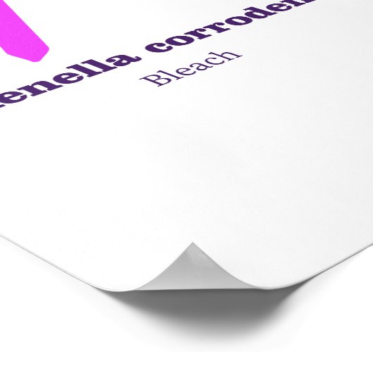 Bench Olfactory Guide Poster (Ecke)