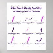 Bench Olfactory Guide Poster (Vorne)
