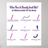Bench Olfactory Guide