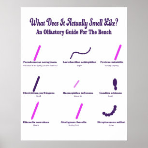 Bench Olfactory Guide Poster