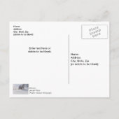 Bench On Snow Covered Hill Danke Postcard Postkarte (Rückseite)