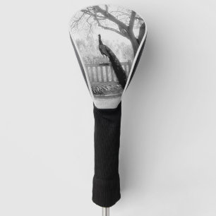 Bench Peacock Golf Headcover