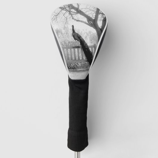 Bench Peacock Golf Headcover (Vorderseite)