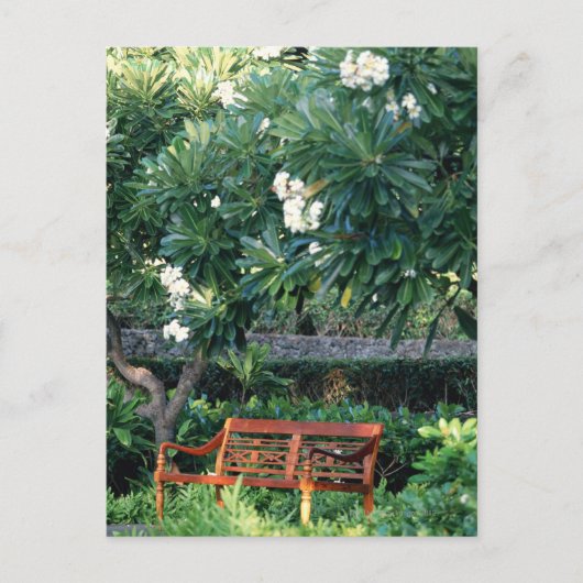 Bench Postkarte (Vorderseite)