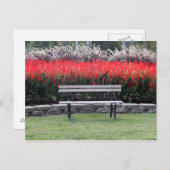 Bench Red Floral Foto Postkarte (Vorne/Hinten)
