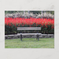 Bench Red Floral Foto