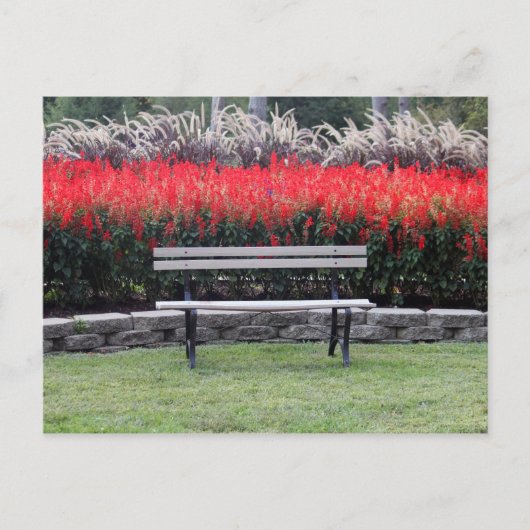 Bench Red Floral Foto Postkarte (Vorderseite)