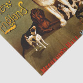 Bench Show. Kennel Club Seidenpapier (Ausschnitt)