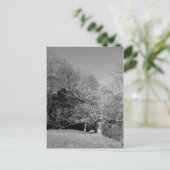 Bench unter Tree Postkarten (Stehend Vorderseite)