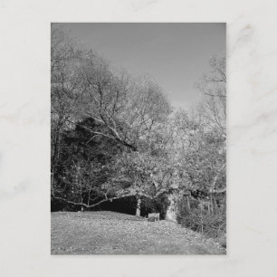 Bench unter Tree Postkarten