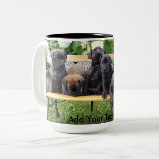 Benched Welpen Zweifarbige Tasse (Vorderseite Links)