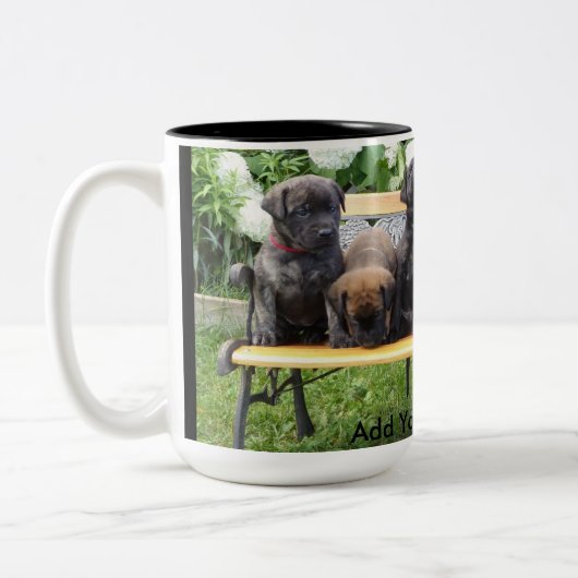 Benched Welpen Zweifarbige Tasse (Links)