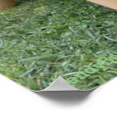 BendyBarbie hat etwas verloren Poster (Ecke)