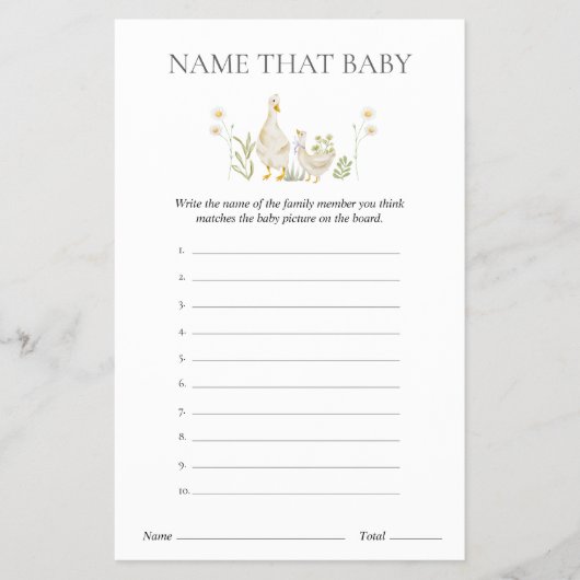 Benennen Sie das Baby Albern Gänse Baby Shooting G Flyer (Vorne)