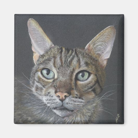 Bengal-Katze-Magnet Magnet (Vorne)