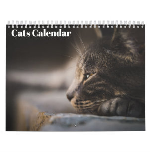 Bengal-Katzen 2027 Kalender