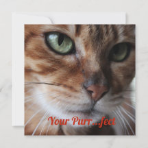 Bengal-Katzen-Foto Valentinstag-Karte