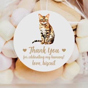 Bengal-Katzen-Hochzeitsgeschenk-Aufkleber Runder Aufkleber