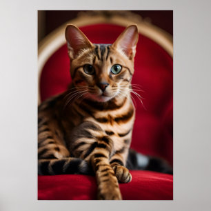 Bengal-Katzenporträt als feine Kunstposter — König Poster