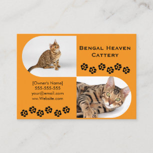 Bengal Katzenzucht Visitenkarte   Benutzerdefinier