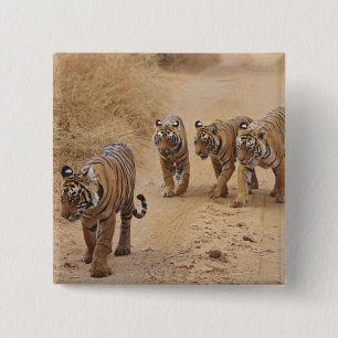 Bengal-Tiger Button