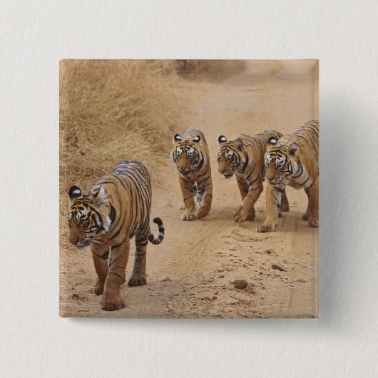 Bengal-Tiger Button (Vorderseite)