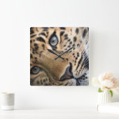 Bengal Tiger Cub Clock Quadratische Wanduhr (Zuhause)