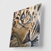 Bengal Tiger Cub Clock Quadratische Wanduhr (Winkel)