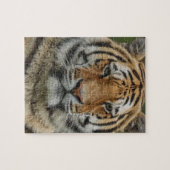 Bengal-Tiger-Puzzle Puzzle (Horizontal)