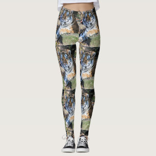 Bengal Tiger ruht auf Waldgestein Muster Leggings