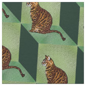 Bengalisch auf einer Box Stoff (Nahaufnahme)