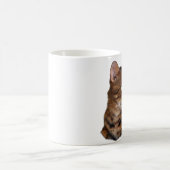 bengalisch kaffeetasse (Mittel)