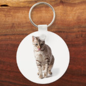 Bengalisch Kätzchen lecken Lippen Schlüsselanhänger (Vorderseite)