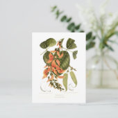 Bengalisch Kino Postkarte (Stehend Vorderseite)