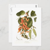 Bengalisch Kino Postkarte (Vorne/Hinten)