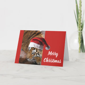 Bengalisch Tiger anta Claus Karte