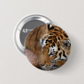 Bengalisch Tiger Button (Vorne & Hinten)