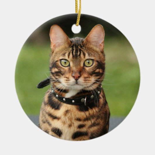 Bengalisch Tiger Cat Keramik Ornament (Vorne)
